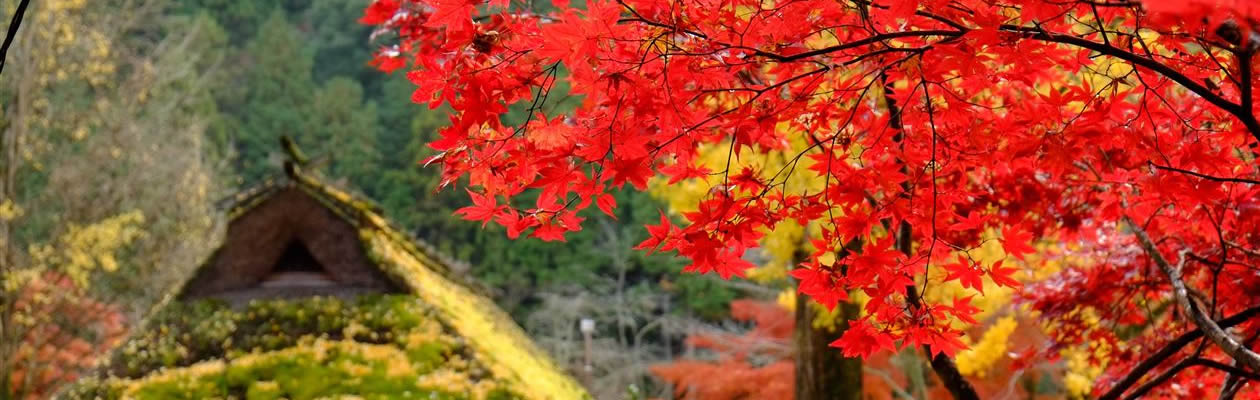 有限会社澤井商事