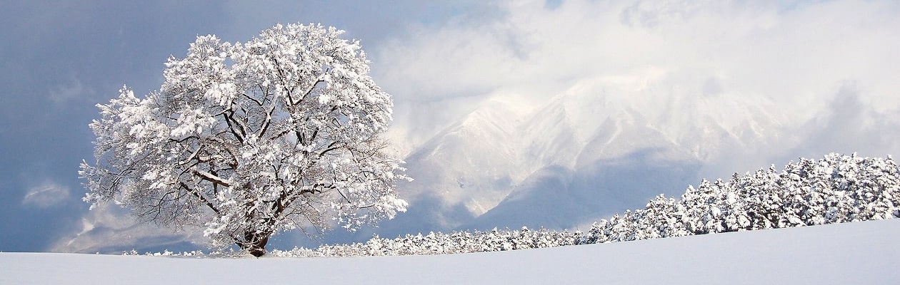 有限会社澤井商事