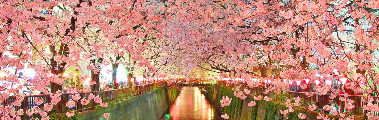 有限会社澤井商事